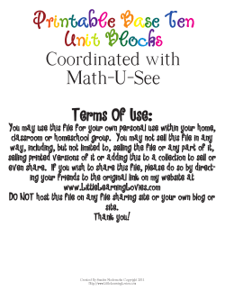 Math-U-See Base Ten Blocks