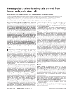 Hematopoietic colony-forming cells derived from human embryonic
