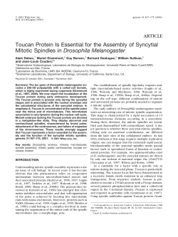 Toucan Protein Is Essential for the Assembly of