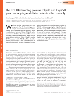 The CP110-interacting proteins Talpid3 and Cep290 play