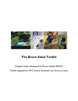The Bronx Salad Toolkit - The Institute for Family Health