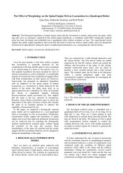 The Effect of Morphology on the Spinal Engine Driven