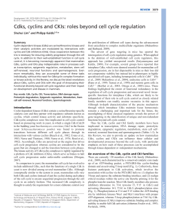 Cdks, cyclins and CKIs: roles beyond cell cycle regulation