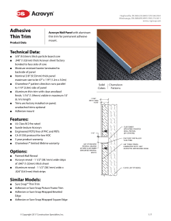 Adhesive Thin Trim - Construction Specialties
