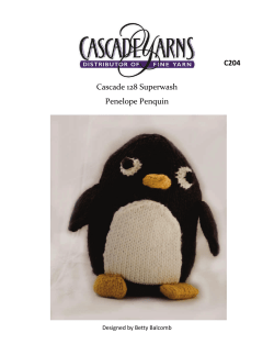 Cascade 128 Superwash Penelope Penquin C204