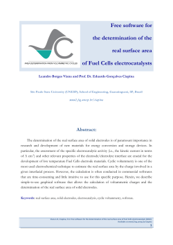 Free software for the determination of the real surface area of Fuel