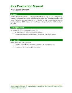 Rice Production Manual - IRRI Rice Knowledge Bank
