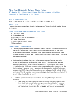 Lesson 7: In The Shadow of His Wings