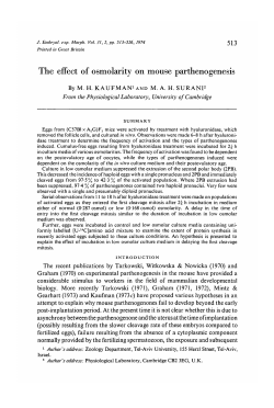 The effect of osmolarity on mouse parthenogenesis