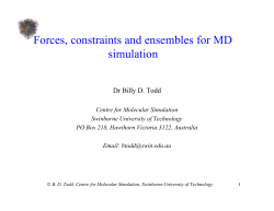 Forces, Constraints and MD Ensembles