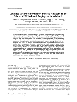 Localized Arteriole Formation Directly Adjacent to the Site of VEGF