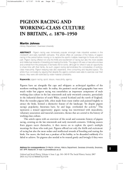 PIGEON RACING AND WORKING-CLASS CULTURE IN BRITAIN, c