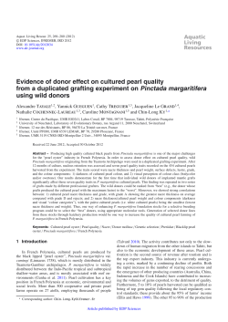 Evidence of donor effect on cultured pearl quality from a duplicated
