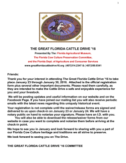 THE GREAT FLORIDA CATTLE DRIVE `16