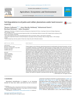 Soil degradation in oil palm and rubber plantations under land