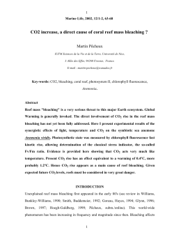 CO2 rise, a direct cause of coral reef mass bleaching