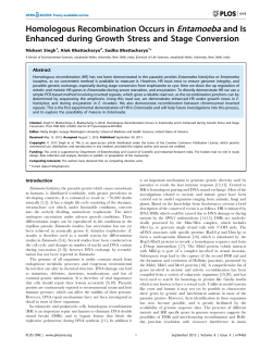 Homologous Recombination Occurs in Entamoeba and Is Enhanced