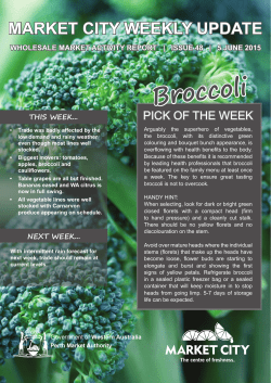 Broccoli - vegetablesWA