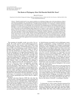 The Roots of Phylogeny: How Did Haeckel Build