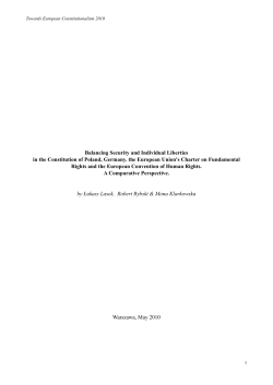 Balancing Security and Individual Liberties in the Constitution of