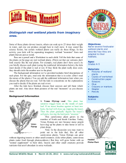 Distinguish real wetland plants from imaginary ones.