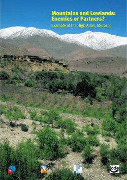 Mountains and Lowlands: Enemies or Partners?