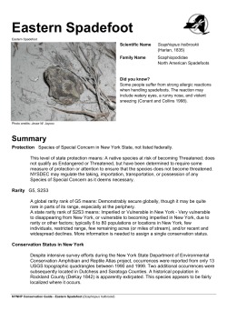 NYNHP Conservation Guide for Eastern Spadefoot