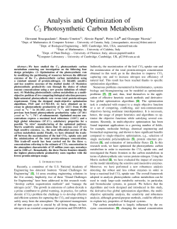 Analysis and Optimization of C3 Photosynthetic Carbon Metabolism