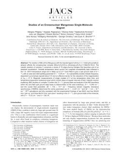 Studies of an Enneanuclear Manganese Single