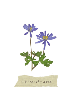 Untitled - Campbell University