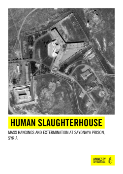 human slaughterhouse - Amnesty International UK