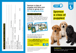 Sponsor a class of puppies!
