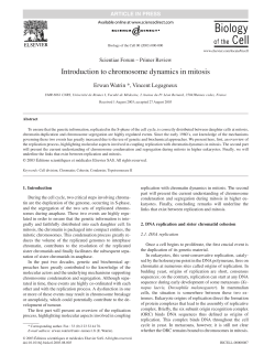 Introduction to chromosome dynamics in mitosis