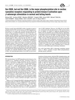 Ser-2030, but not Ser-2808, is the major phosphorylation site in