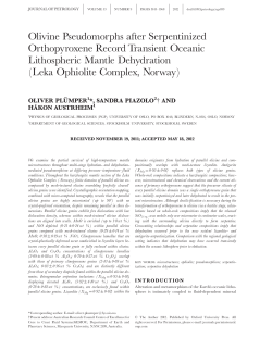 Olivine Pseudomorphs after Serpentinized