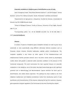 Anaerobic metabolism in Haloferax genus: Denitrification as