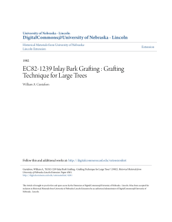 EC82-1239 Inlay Bark Grafting: Grafting Technique for Large Trees