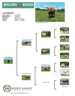 150 percent - Rolling D Ranch