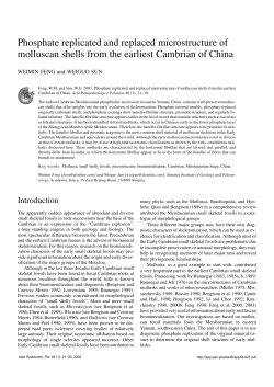 Phosphate replicated and replaced microstructure of molluscan
