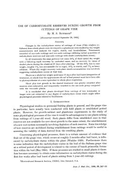 USE OF CARBOHYDRATE RESERVES DURING GROWTH FROM
