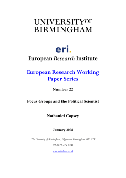 Focus Groups and the Political Scientist