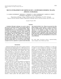 mucus entrapment of particles by a suspension