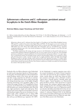 Ephemerum cohaerens and E. rutheanum: persistent