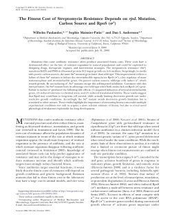The Fitness Cost of Streptomycin Resistance Depends on