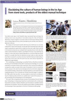 Elucidating the culture of human beings in the Ice Age from stone