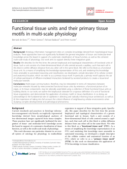 Functional tissue units and their primary tissue motifs in multi