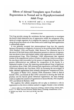Effects of Adrenal Transplants upon Forelimb