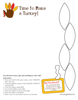 Thanksgiving Make a Turkey
