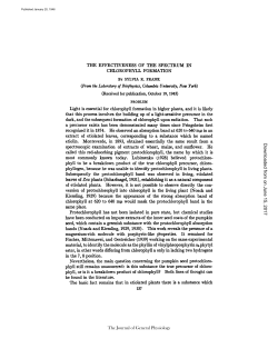THE EFFECTIVENESS OF THE SPECTRUM IN CHLOROPHYLL