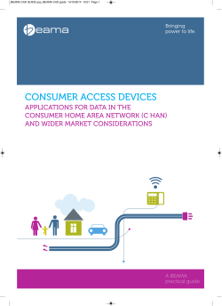 Consumer Access Devices &ndash; A BEAMA Guide